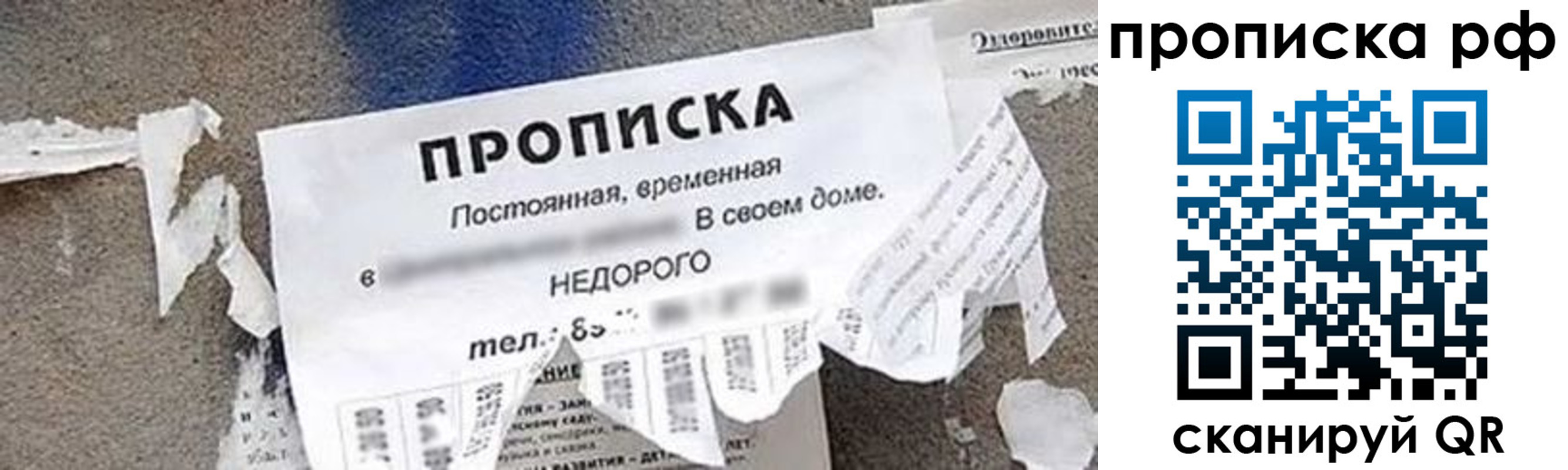 где прописаться в Плавске